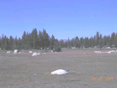 1994 Ford Bronco - A wide view of a natural landscape with a date stamp indicating it was taken on August 27, 2005.
