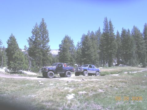 1994 Ford Bronco - Two pickup trucks are parked in a grassy, wooded area under a clear blue sky.