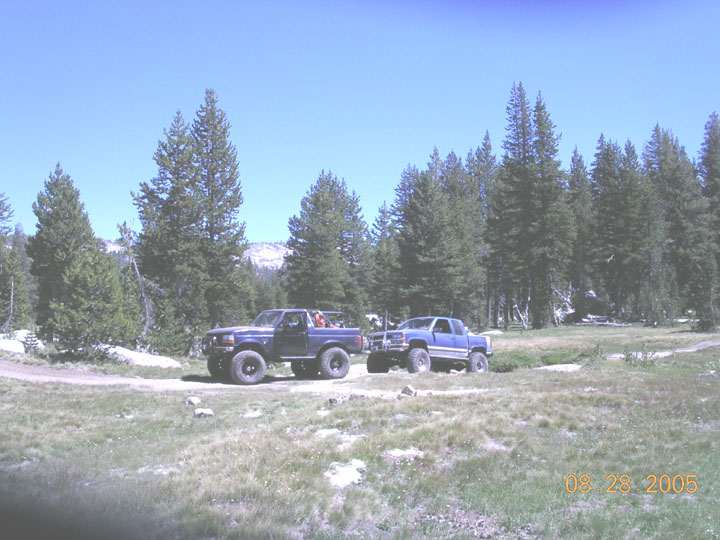 Blue topless Ford Bronco and blue pickup parked in a pine-lined mountain meadow