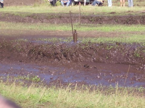 1979 Ford F-250 - A muddy track is shown with spectators in the background, suggesting a racing event.
