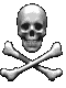 1995 Ford Bronco - A skull and crossbones symbol is displayed against a black background.