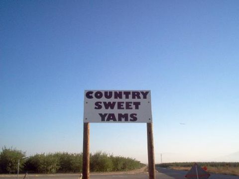1988 Ford Bronco - A sign for Country Sweet Yams is visible against a clear blue sky in a rural setting.
