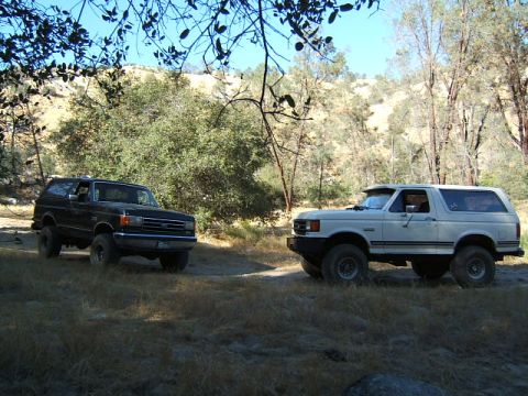 1988 Ford Bronco - Two Ford Broncos are parked off-road in a dry, grassy, and wooded landscape.