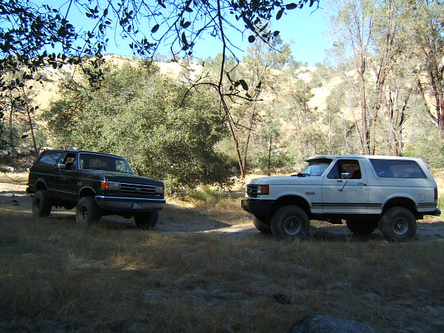 White Ford Bronco parked in a wooded area, with a black Bronco nearby