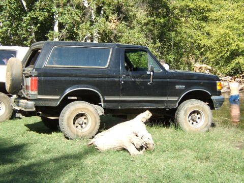 1988 Ford Bronco - A black Ford Bronco is parked on the grass next to a body of water with trees in the background.