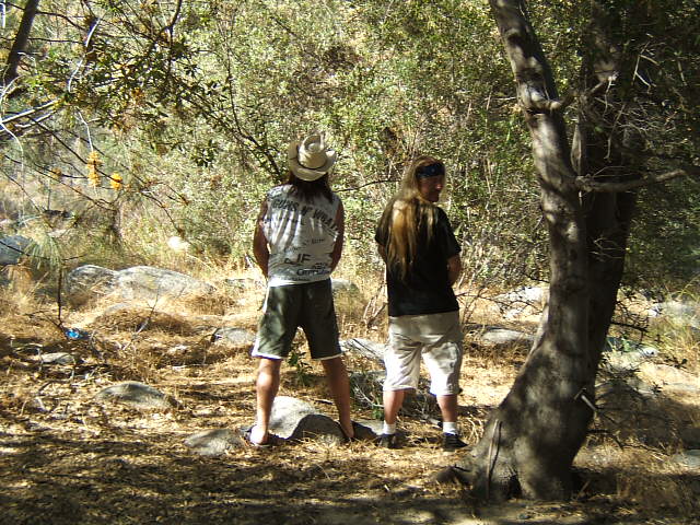 Two guys peeing in the woods. One wears a cowboy hat and a shirt that says "Guns Up What?"