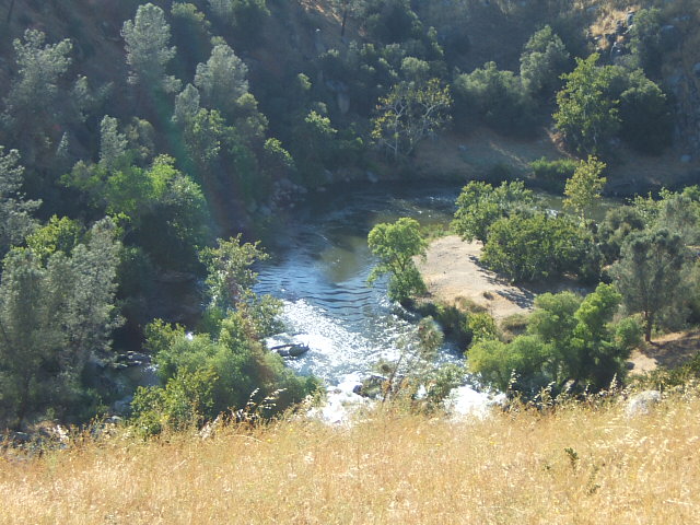 River flowing through a wooded area with dry grass in the foreground