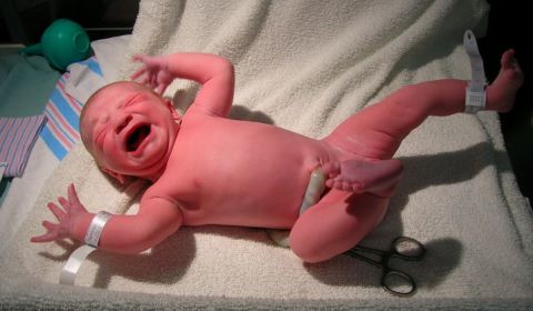 2003 Jeep TJ - A newborn baby is shown shortly after birth, with medical bands and umbilical cord still attached.