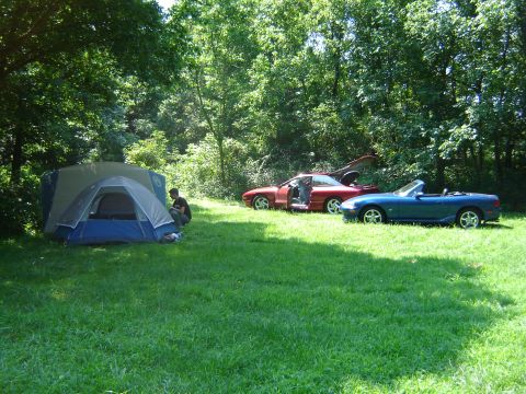 1995 Ford Probe - Two cars and a tent are set up in a grassy clearing surrounded by trees.