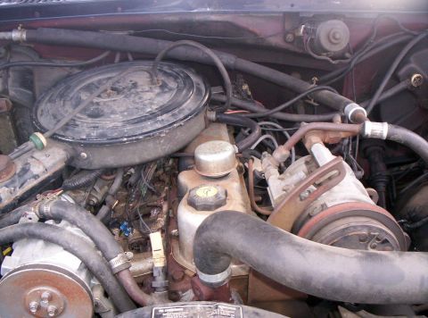 1986 Ford Bronco - Middle