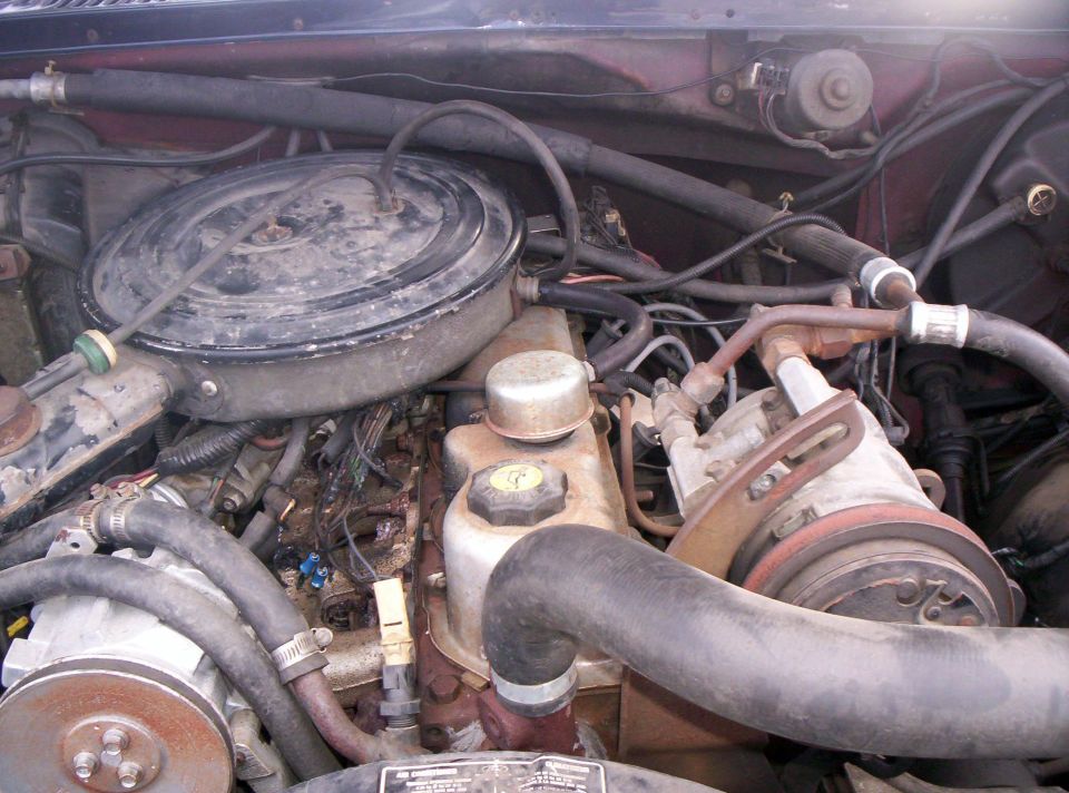 Dirty carbureted V8 engine bay with round air cleaner, power steering reservoir and radiator hose