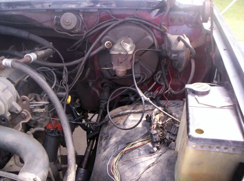 1986 Ford Bronco - Right Side