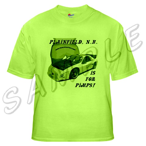 1986 Pontiac Fiero “SheBeast”