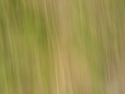 1987 Suzuki Samurai - Abstract motion blur creates streaks of green and tan, obscuring any discernible subject.