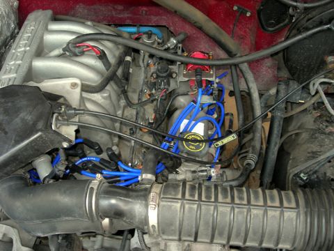 1996 Ford Bronco - Close-up view of a vehicle's engine bay, blue spark plug wires and a red distributor cap.