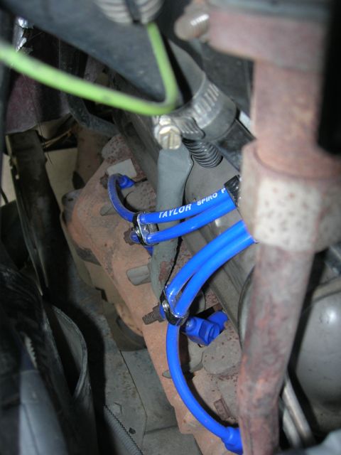 1996 Ford Bronco - Blue spark plug wires are visible on the engine, with 'TAYLOR SPIRO' text printed on one of them.