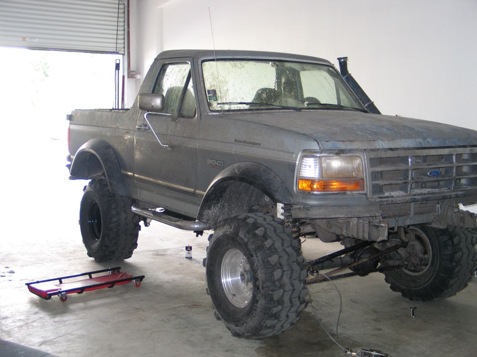 slightly taller in the rear