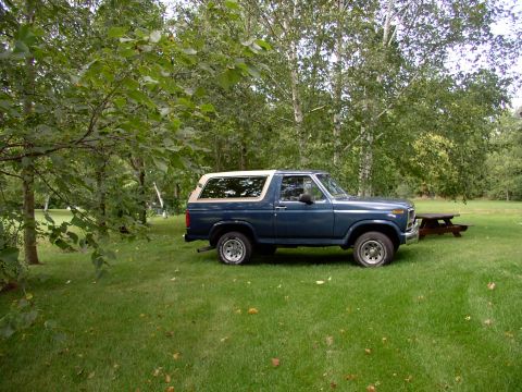1986 Ford Bronco - lately