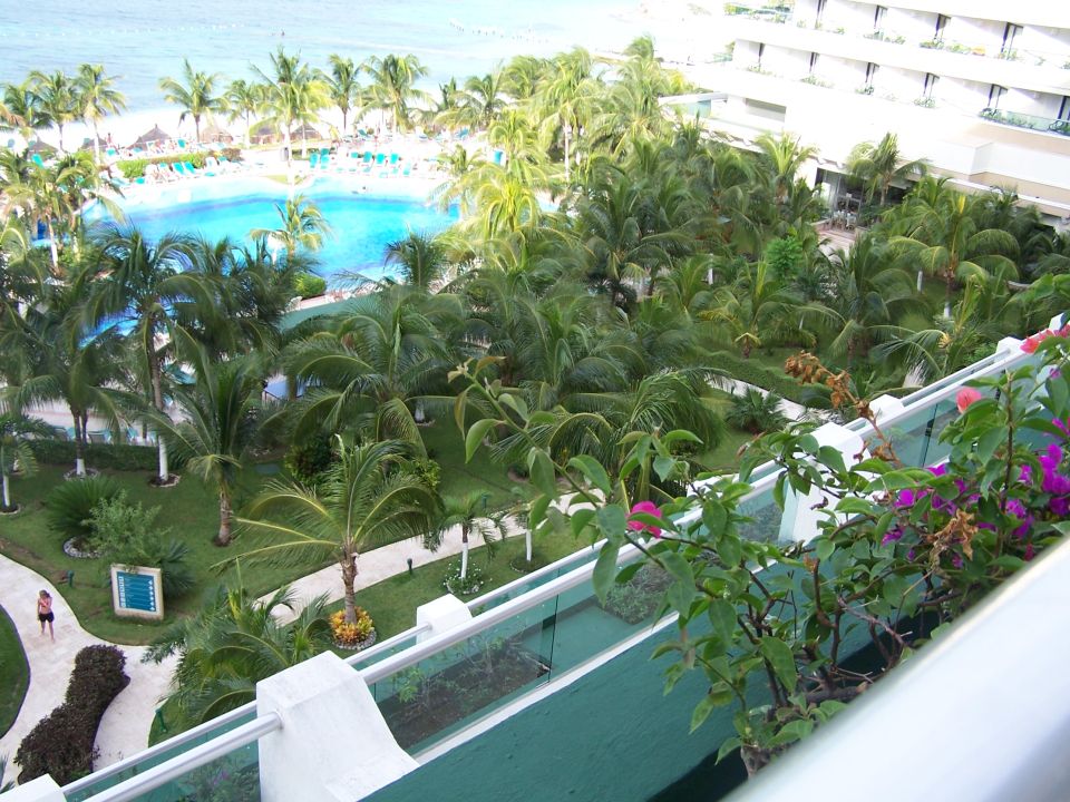Resort scene with a large blue pool, palm trees, and a white building