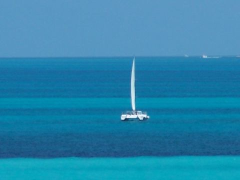 1979 Ford F-150 - A lone catamaran sails across the clear blue waters of the ocean.