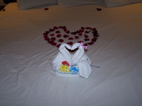 1979 Ford F-150 - A romantic bed setup features towel swans and rose petals arranged in a heart shape.