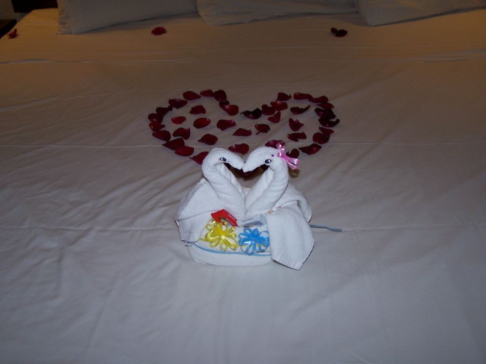 Two white towel swans facing each other on a bed, with rose petals arranged in a heart shape behind them