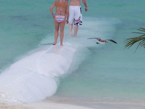 1979 Ford F-150 - A couple wades through the clear ocean water, accompanied by a seagull in flight, near a sandy shore.