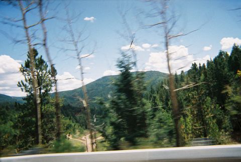 1972 Ford Ranchero - A view of a mountain range covered in pine trees and a winding dirt road, captured from a moving vehicle.