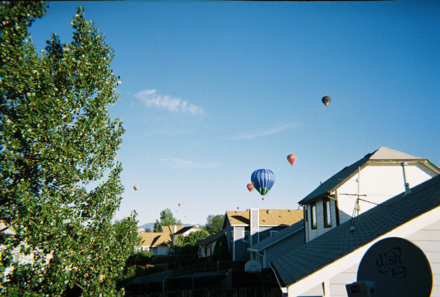 Several hot air balloons in a clear blue sky above houses and trees