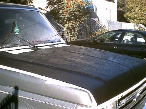 1990 Ford Bronco - 2nd coat