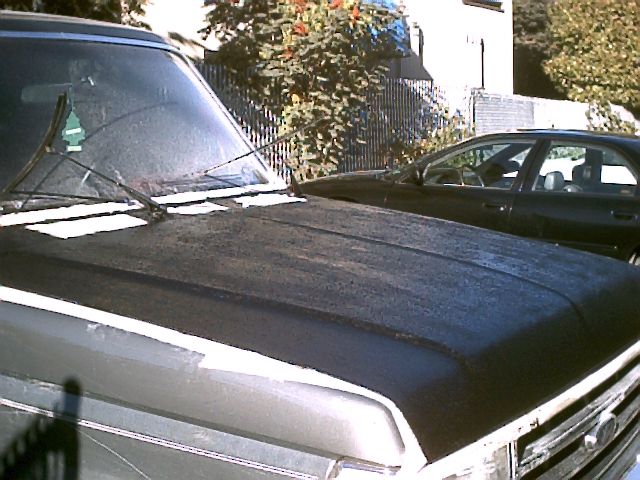 Faded black hood of a sedan with peeling paint, second car and shrubs in the background