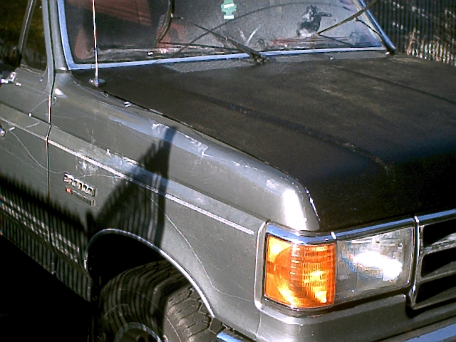 Front corner of a tan Ford truck with black oxidized hood, amber turn signal and headlight