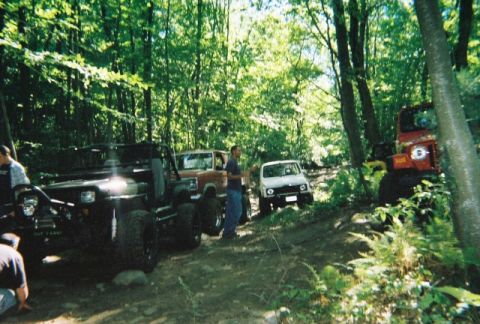 1976 GMC C/K Pickup - A group of off-road vehicles are gathered on a trail surrounded by dense forest foliage.