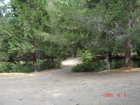 1993 Ford Bronco - A dirt path winds through a wooded area with a calm body of water visible to the right.