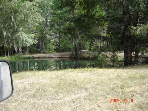 1993 Ford Bronco - A vehicle's side mirror is visible in the foreground, overlooking a pond and wooded area.