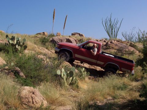 1981 Ford F-150 - Poser!
