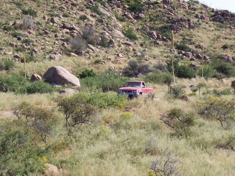 1981 Ford F-150 - Is there a Toy in the weeds?