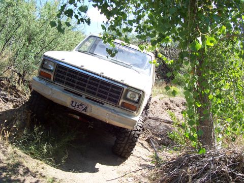 1981 Ford F-150 - This is an illusion, I am not to the tree yet, but when I got there, I was scraping the tree with the top of my cab.