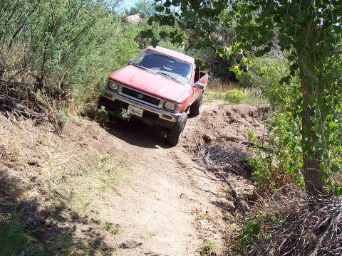 1981 Ford F-150 - Jared had room to spare.