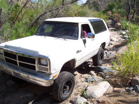 1981 Ford F-150 - Dan coming out of it. Notice the plant sticking out of the bead of his rear tire....