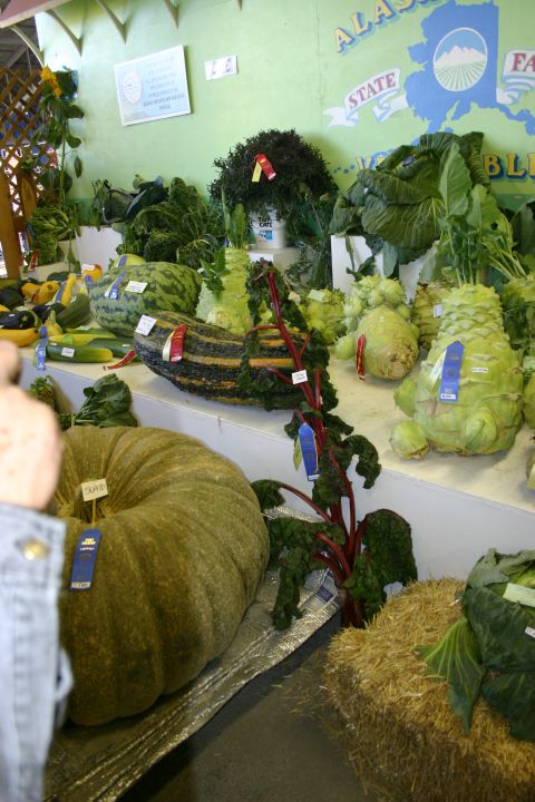 2003 Jeep TJ - A large pumpkin and various vegetables are displayed with blue ribbons at the Alaska State Fair.
