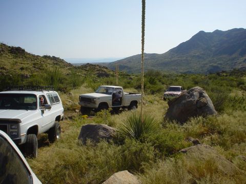 1981 Ford F-150 - The crew