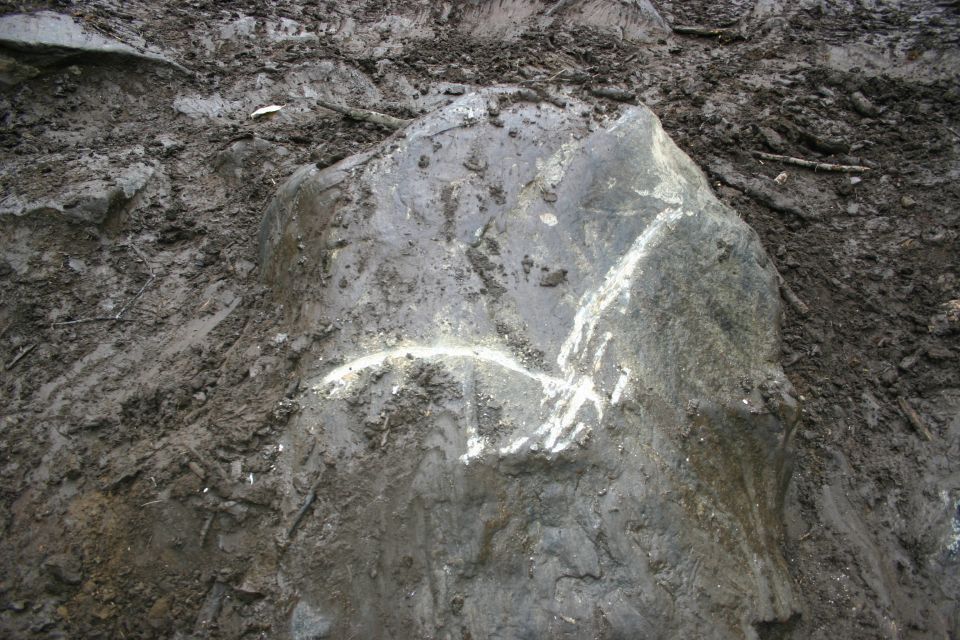 Rock with white chalk markings on muddy ground