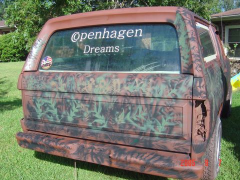 1982 Ford Bronco photo