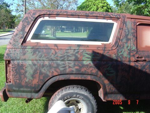 1982 Ford Bronco photo
