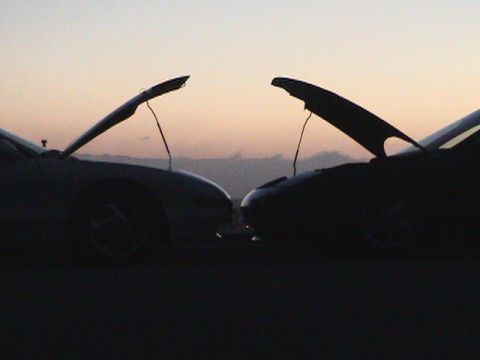 1997 Ford Probe - Two cars are parked facing each other with their hoods open against a sunset sky.