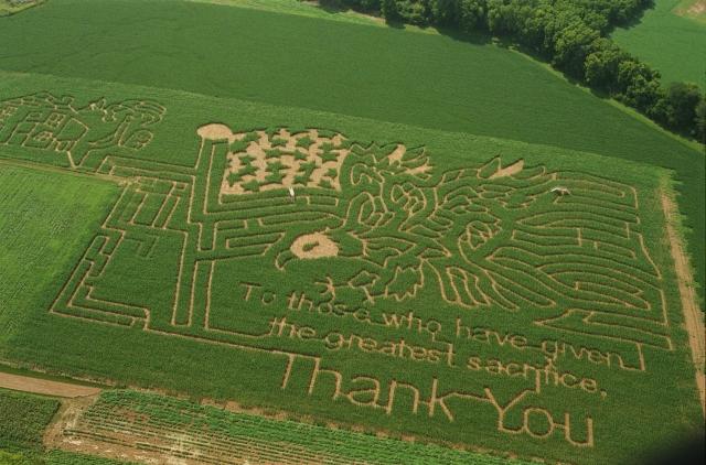 Aerial view of a corn maze with an eagle, flag and "Thank You" message