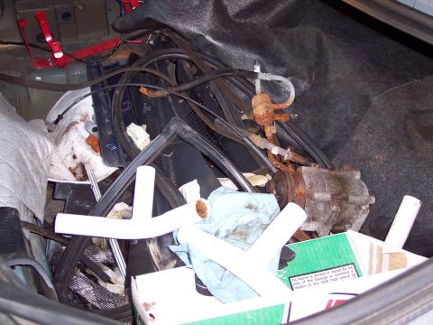 2001 Ford Crown Victoria - Unnecessary engine components