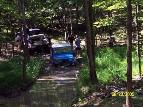 1977 Ford F-150 - Two off-road vehicles navigate a water obstacle in a wooded area on a sunny day.