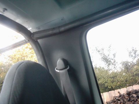 1978 Ford Bronco - Interior view showing a roll cage and seatbelt, with trees visible through the window.
